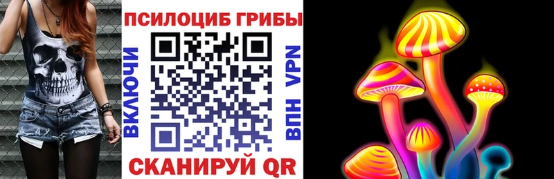 Купить закладки  Новокубанск  Псилоцибиновые грибы Psilocybine cubensis 